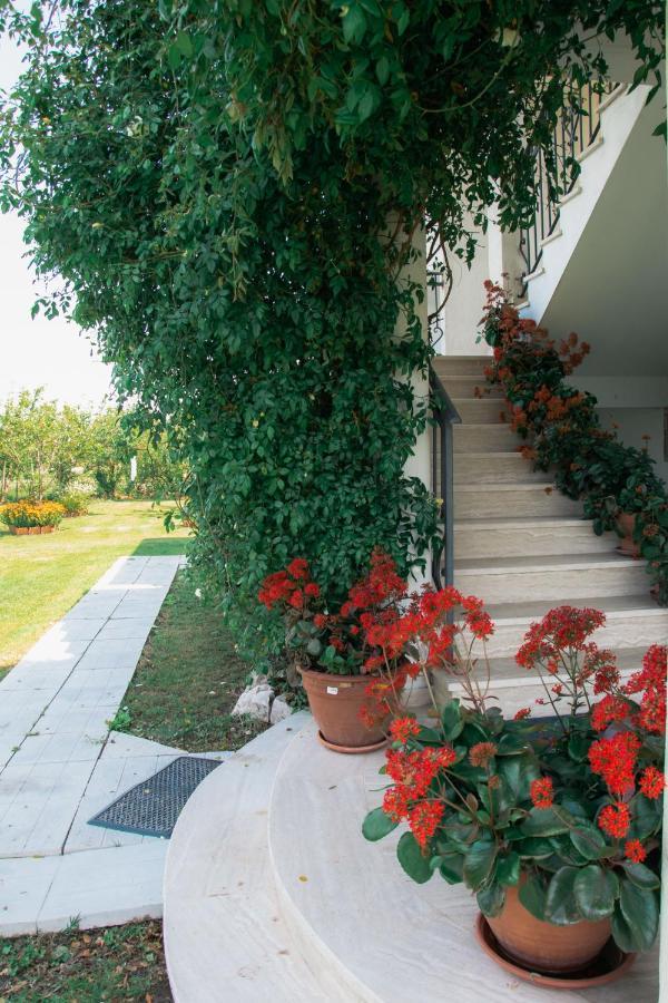 Luce Di Sole Apartment Ülgün Dış mekan fotoğraf
